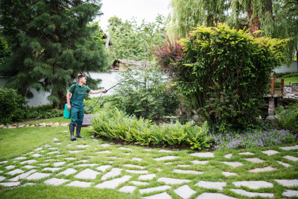 Best Residential Pest Control  in Los Alamos, NM