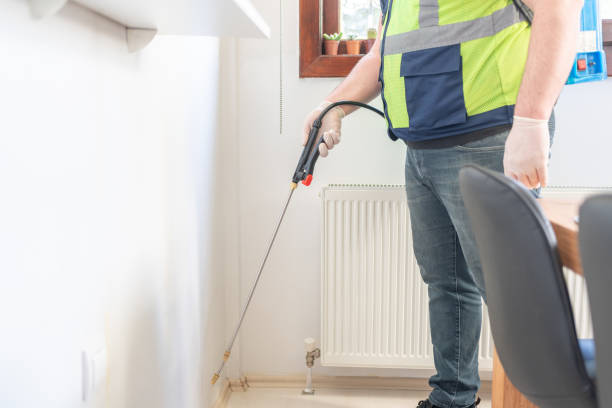 Best Affordable Pest Control Services  in Los Alamos, NM