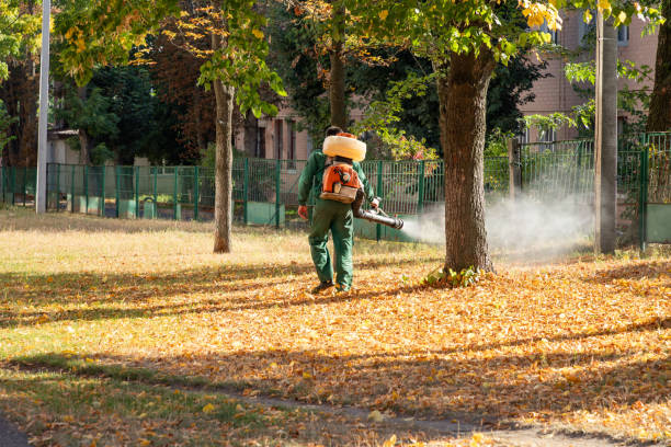 Best Best Pest Control Companies  in Los Alamos, NM