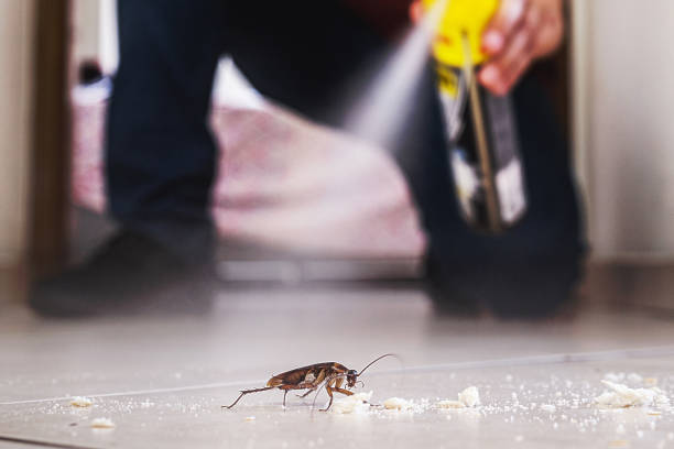 Best Cockroach Control Services  in Los Alamos, NM