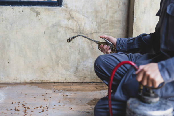 Best Local Pest Control Services  in Los Alamos, NM